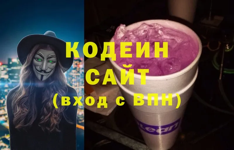 купить закладку  Нолинск  Кодеин Purple Drank 